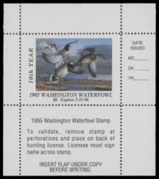 Scan of 1995 Washington Duck Stamp MNH VF