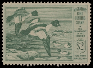 Scan of RW16 1949 Duck Stamp  Used F-VF