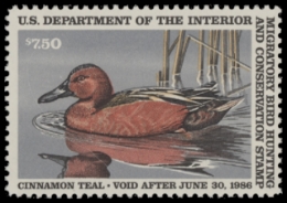 Scan of RW52 1985 Duck Stamp  MNH F-VF