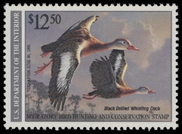 Picture of RW57 1990 Duck Stamp  MNH F-VF