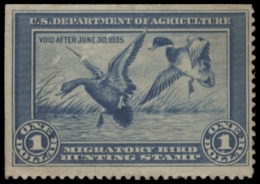 Scan of RW1 1934 Duck Stamp  MLH F-VF