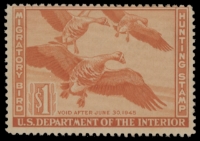 Scan of RW11 1944 Duck Stamp  MLH F-VF