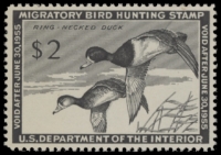 Scan of RW21 1954 Duck Stamp  MNH F-VF