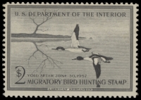 Scan of RW23 1956 Duck Stamp  MNH F-VF
