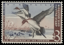 Scan of RW29 1962 Duck Stamp  MNH F-VF