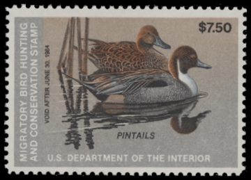 Scan of RW50 1983 Duck Stamp  MNH F-VF