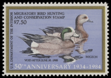 Scan of RW51 1984 Duck Stamp  MNH F-VF