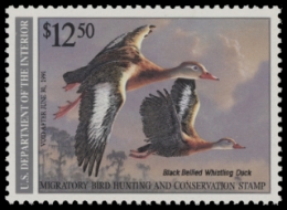 Scan of RW57 1990 Duck Stamp  MNH F-VF