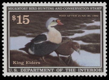 Scan of RW58 1991 Duck Stamp  MNH F-VF