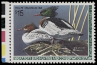 Scan of RW61 1994 Duck Stamp  MNH VF