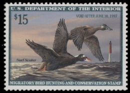 Scan of RW63 1996 Duck Stamp  MNH F-VF