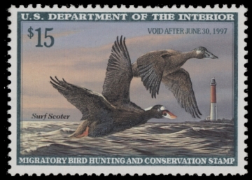 Scan of RW63 1996 Duck Stamp  MNH F-VF