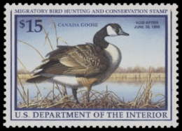 Scan of RW64 1997 Duck Stamp  MNH F-VF