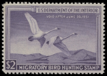 Scan of RW17 1950 Duck Stamp  MNH F-VF