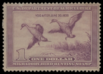 Scan of RW5 1938 Duck Stamp  Unsigned F-VF