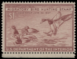 Scan of RW13 1946 Duck Stamp  Unused F-VF