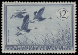 Scan of RW22 1955 Duck Stamp  MNH F-VF