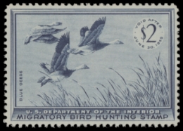 Scan of RW22 1955 Duck Stamp  MNH F-VF