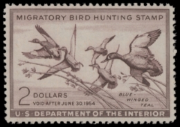 Scan of RW20 1953 Duck Stamp  MNH F-VF