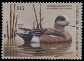 Scan of RW77 2010 Duck Stamp  MNH F-VF