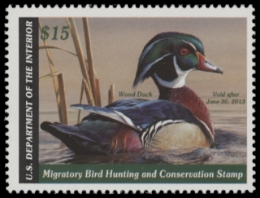 Scan of RW79 2012 Duck Stamp  MNH F-VF