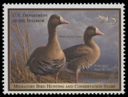 Scan of RW78 2011 Duck Stamp  MNH F-VF