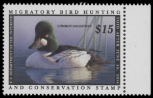 Scan of RW80 2013 Duck Stamp  MNH F-VF