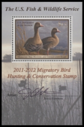 Scan of RW78B 2011 Duck Stamp  MNH F-VF