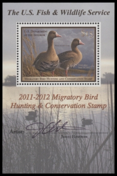 Scan of RW78B 2011 Duck Stamp  MNH F-VF