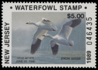 Scan of 1989 New Jersey NR Duck Stamp MNH VF