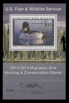 Scan of RW80B 2013 Duck Stamp  MNH F-VF