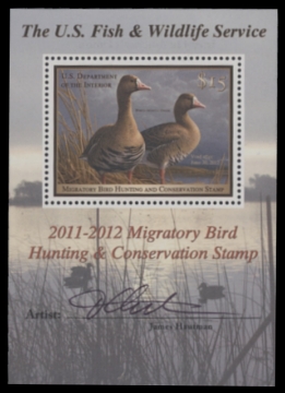 Scan of RW78B 2011 Duck Stamp  MNH F-VF