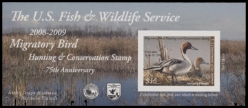 Scan of RW75A 2008 Duck Stamp  MNH F-VF