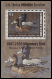 Scan of RW74B 2007 Duck Stamp  MNH F-VF