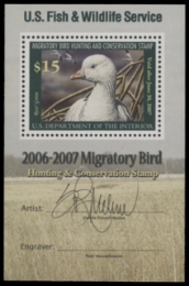 Scan of RW73B 2006 Duck Stamp  MNH F-VF