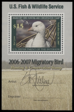 Scan of RW73B 2006 Duck Stamp  MNH F-VF