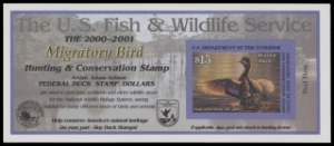 Scan of RW67A 2000 Duck Stamp  MNH F-VF