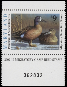 Picture of 2009 Maryland Duck Stamp MNH VF