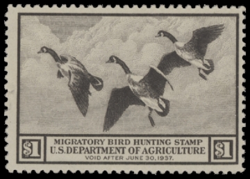 Scan of RW3 1936 Duck Stamp  MNH F-VF