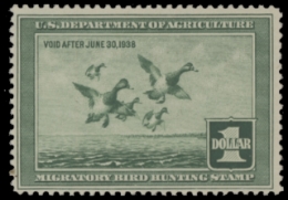 Scan of RW4 1937 Duck Stamp  MNH F-VF