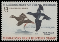 Scan of RW36 1969 Duck Stamp  MNH F-VF