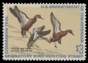 Scan of RW38 1971 Duck Stamp  MNH F-VF