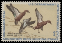 Scan of RW38 1971 Duck Stamp  MNH F-VF
