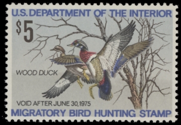 Scan of RW41 1974 Duck Stamp  MNH F-VF