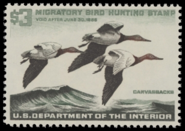 Scan of RW32 1966 Duck Stamp  MNH F-VF