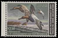 Scan of RW49 1982 Duck Stamp  MNH F-VF
