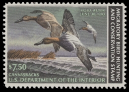 Scan of RW49 1982 Duck Stamp  MNH F-VF