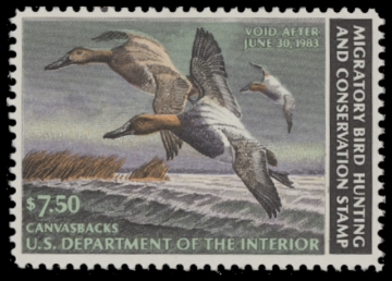 Scan of RW49 1982 Duck Stamp  MNH F-VF