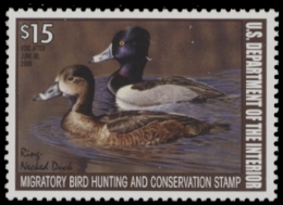 Scan of RW74 2007 Duck Stamp  MNH XF