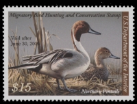 Scan of RW75 2008 Duck Stamp  MNH XF